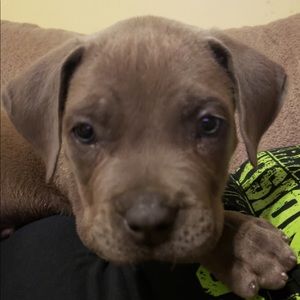 Meet your Posher, Eric